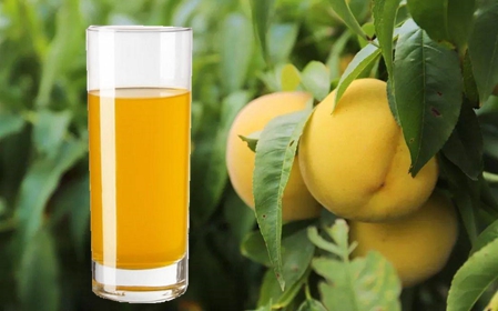 荆楚三湖黄桃采摘园